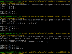 Polynomial roots calculation executions