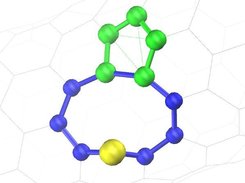 cnt vacancy identified with polypy