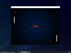 Pong Game Pause State