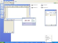 main window