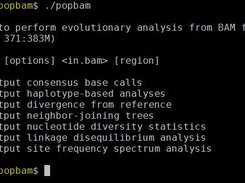 The main POPBAM menu invoked by calling the program with no arguments