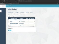 adminer pada pslims9