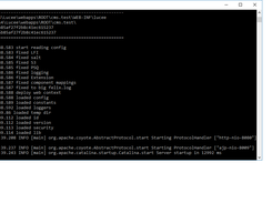USB Coldfusion Server Lucee & MySQL Screenshot 3