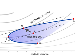 Theoretical model