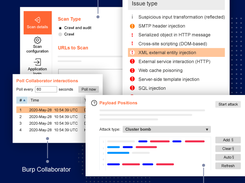 PortSwigger Burp Suite Professional Screenshot 1