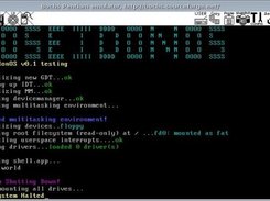 executing a program loaded from disk (prints out string)