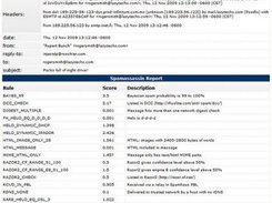 Example Spam Report