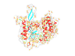 water-protein interactions