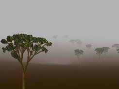 OpenGL-View of a scene containing a ground and plants