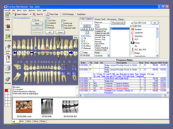 Practice-Web Dental-Chart