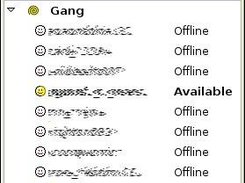 The Buddy list with the buddy status