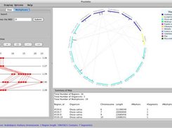 Praxiteles main interface with regular display fasion