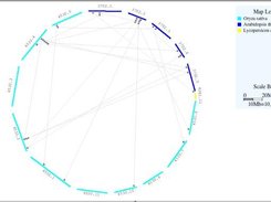 Irregular display fashion with scale bar