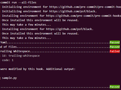 pre-commit Screenshot 1