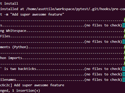 pre-commit Screenshot 2
