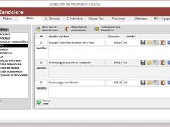 Items de presupuesto