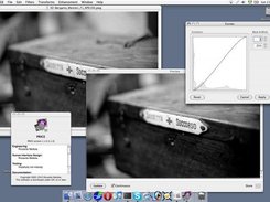 v1.1.0 on Macintosh, showing the "Curves" tool with previe