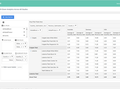 Drill into pricing data by country, brand and product