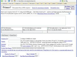 primer3 web interface input page