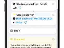 Private LLM Screenshot 1