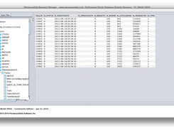 DBRECOVER for Oracle Screenshot 4