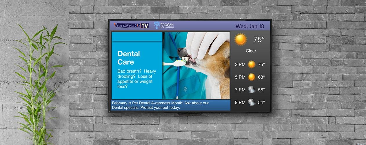 VetScene Reviews and Pricing 2023