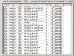 connections monitored in a firefox ession