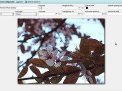 You can set a watermark text that is automatically overlayed to enlarged images