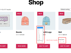 Product Quantity Dropdown woocommerce Screenshot 5