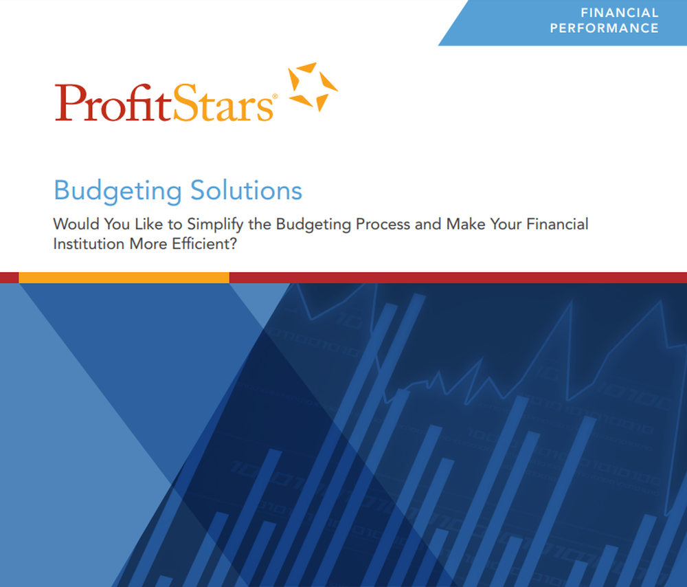 PROFITstar Budget Screenshot 1