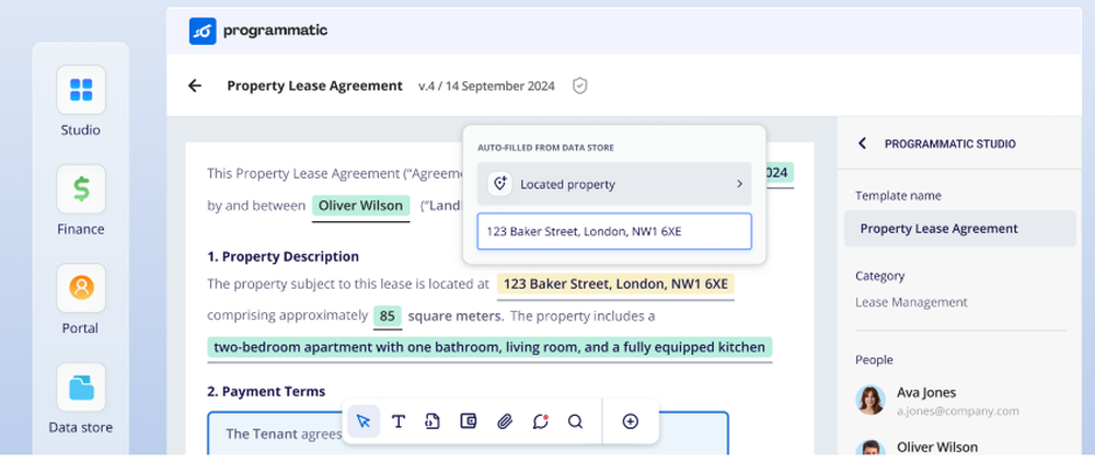 Programmatic Screenshot 1