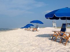 PROGRAMPAWN Screenshot 6