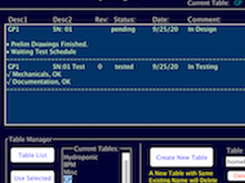 Extending Text in Field
