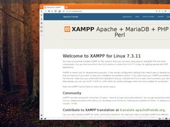 Ignis Linux Screenshot 6