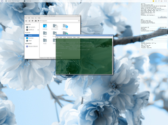 Ignis Linux Screenshot 5