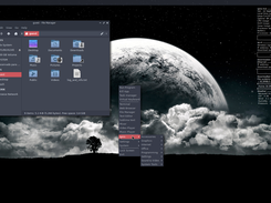 Ignis Linux Screenshot 1