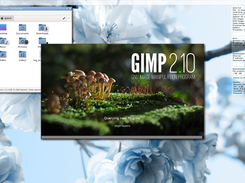 Ignis Linux Screenshot 2