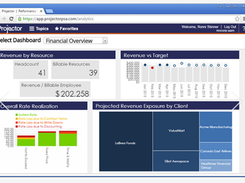 Projector-ExecutiveDashboard