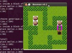 la version sdl en beta ;)