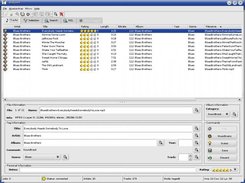 0.9.3 tag edit modeon KDE 3.2, Mandrake 10