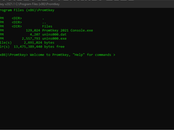Tylobyte Promptkey 2021 Screenshot 1