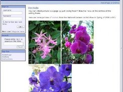 A wiki page, with blue theme