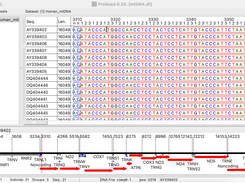 view and assign functional regions to alignments