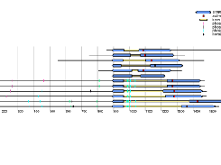 Weird Plasmodium Protein Kinases