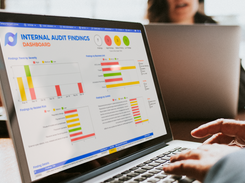 Protecht Internal Audit Findings Dashboard