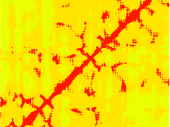 PCMGen output visualized using R (heatmap)