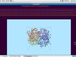 This shows folding of Haemoglobin in 3D