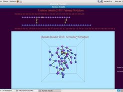 This shows folding of human insulin in 3D