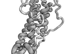 Human Growth Hormone [PDB:1HGU] four alpha-helix bundle