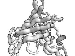 Retinol-Binding Protein [PDB:1AQB] beta-barrel